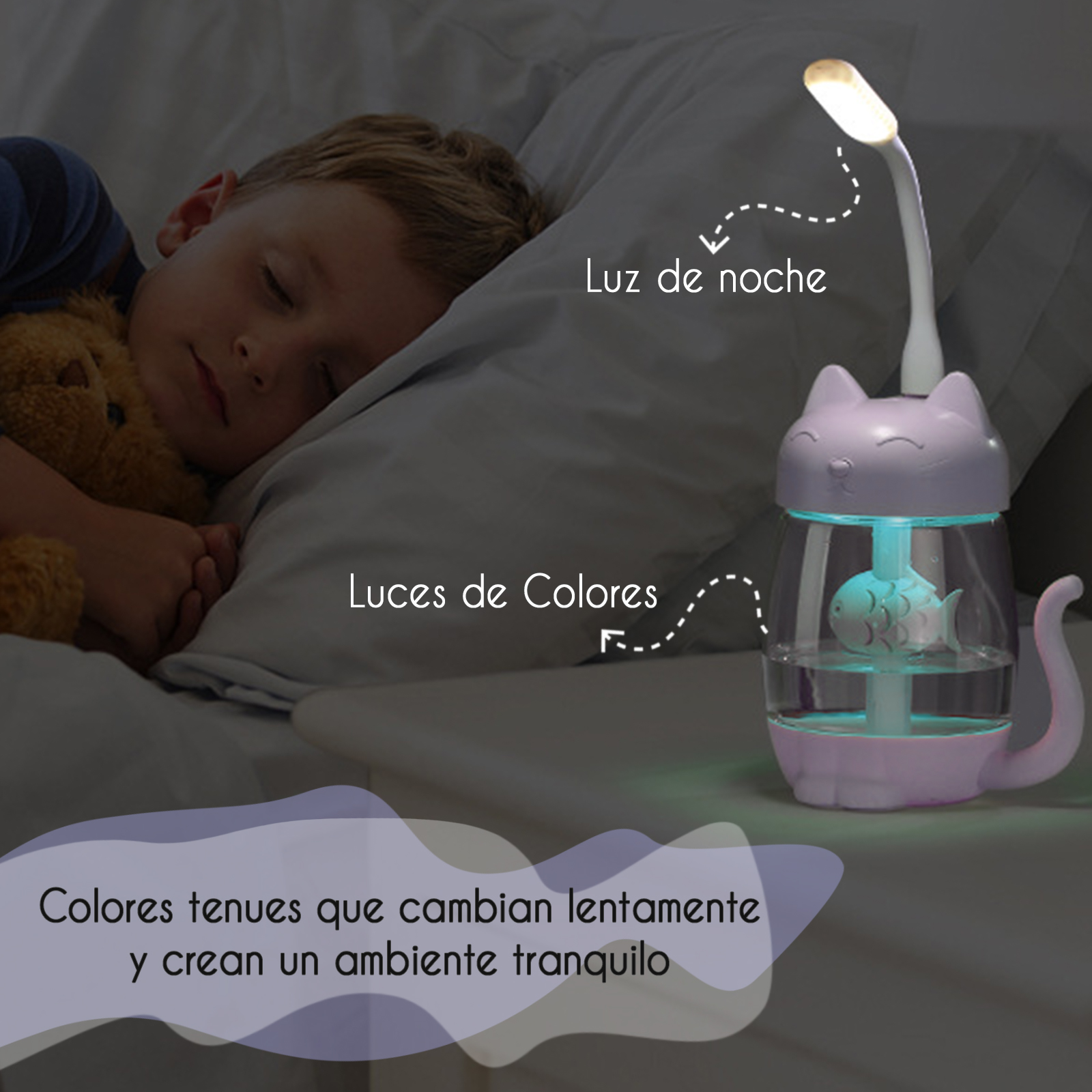 contenido A+11