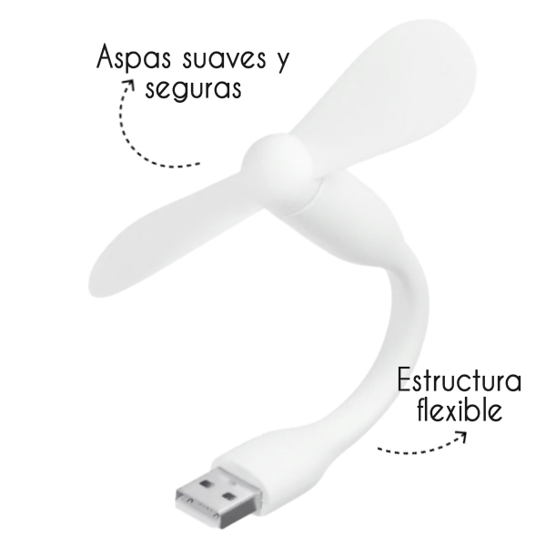 contenido A+6